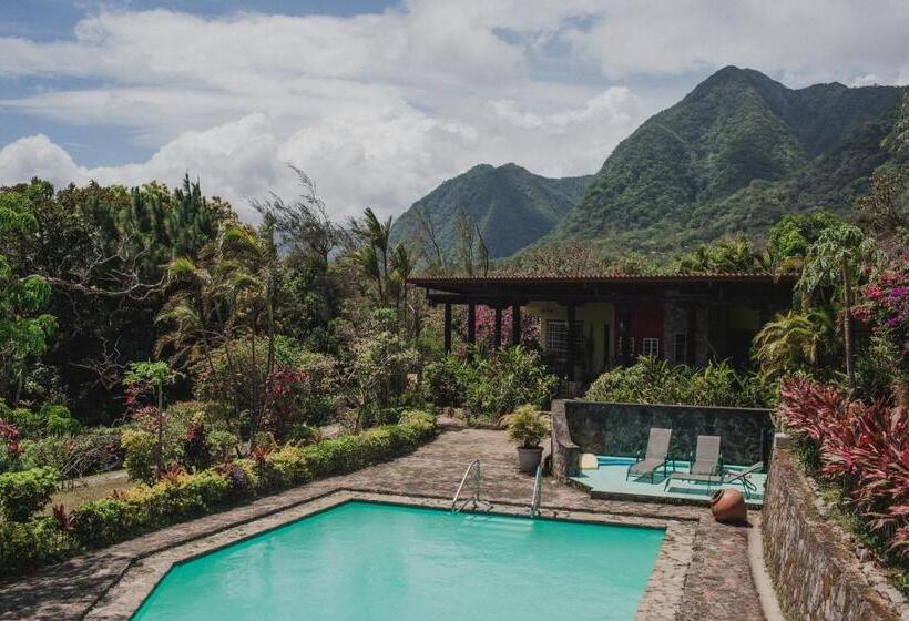 ホテル The Golden Frog Inn