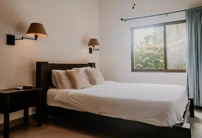 هتل The Golden Frog Inn