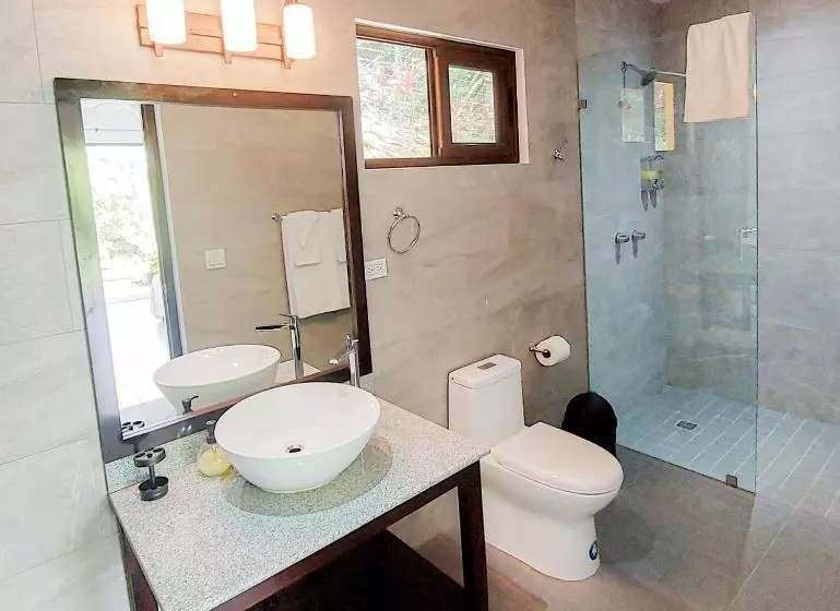 هتل The Golden Frog Inn