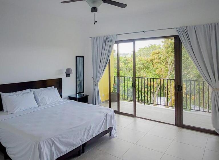 ホテル The Golden Frog Inn