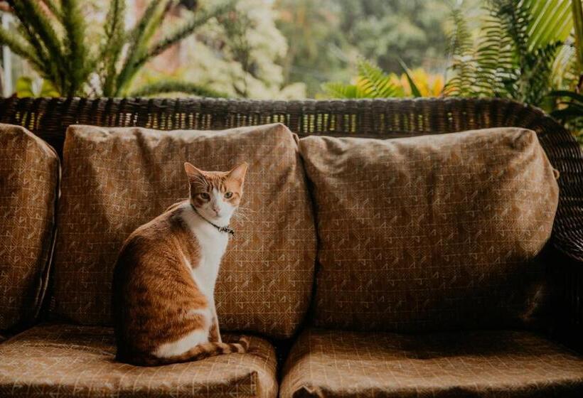 ホテル The Golden Frog Inn