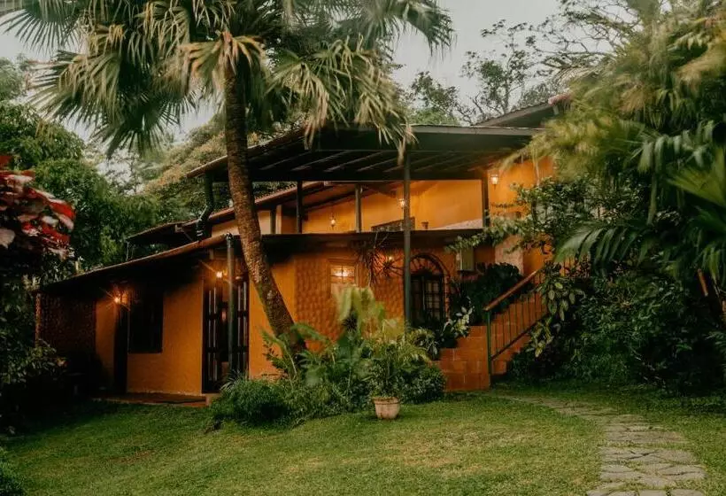 هتل The Golden Frog Inn