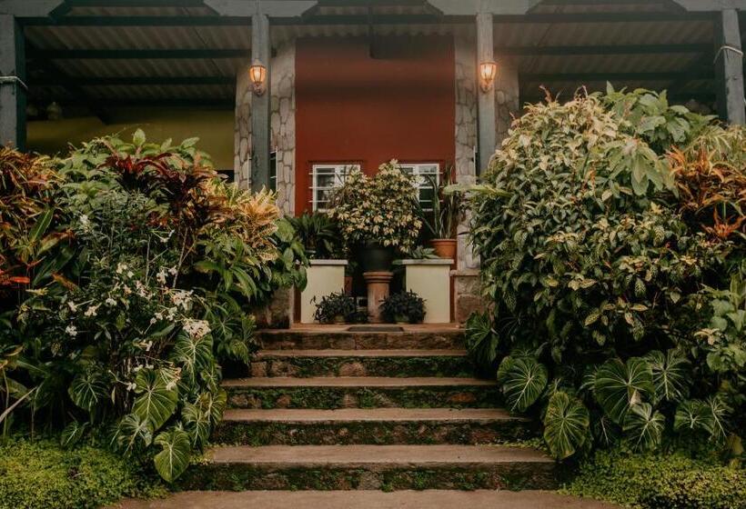 ホテル The Golden Frog Inn