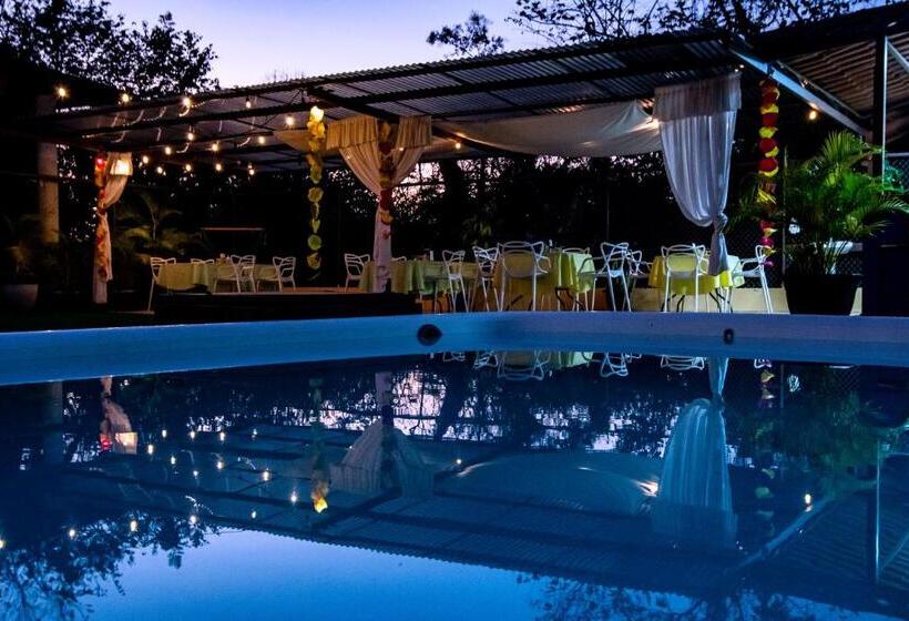 Roxy S Bed & Breakfast