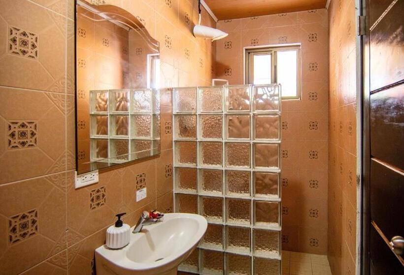 Roxy S Bed & Breakfast