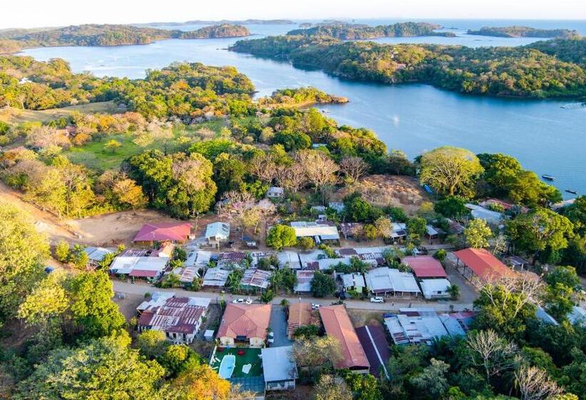 Roxy S Bed & Breakfast