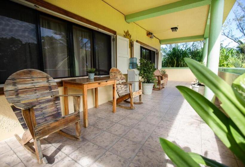 Sea Eye Hotel   Tropical Building