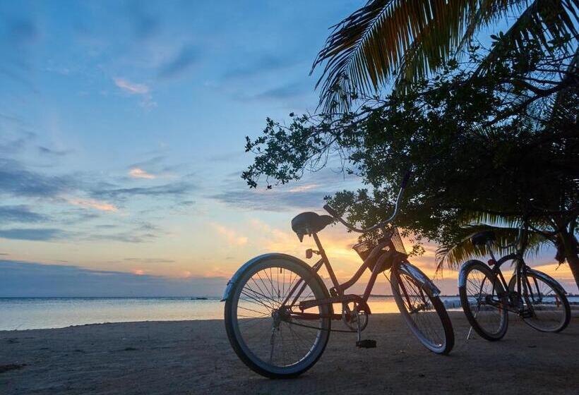 Sea Eye Hotel   Tropical Building