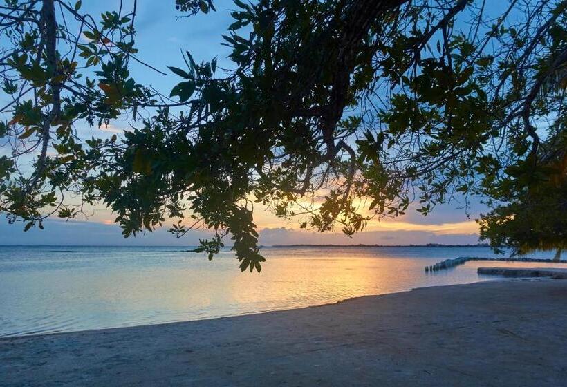 Sea Eye Hotel   Tropical Building