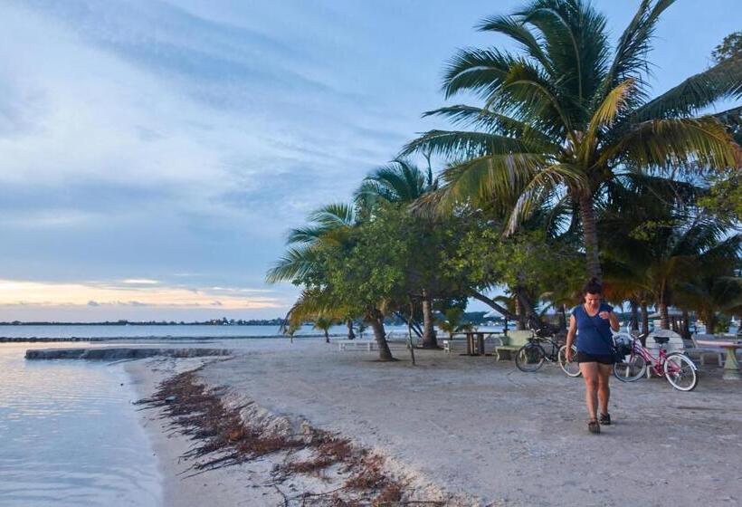 Sea Eye Hotel   Tropical Building