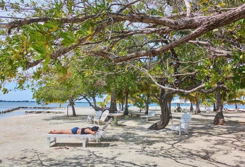 Sea Eye Hotel   Tropical Building