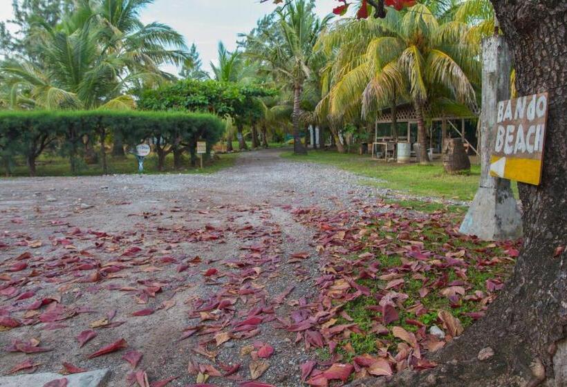 Sea Eye Hotel   Tropical Building