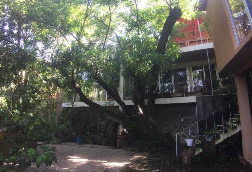 펜션 Hospedaje Casa Santi