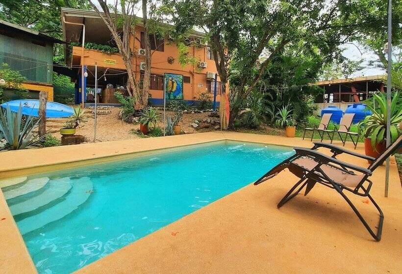 Casa Pura Vida Surf Hostel