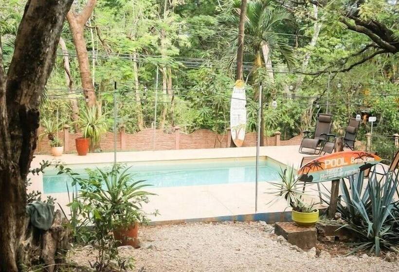 Casa Pura Vida Surf Hostel