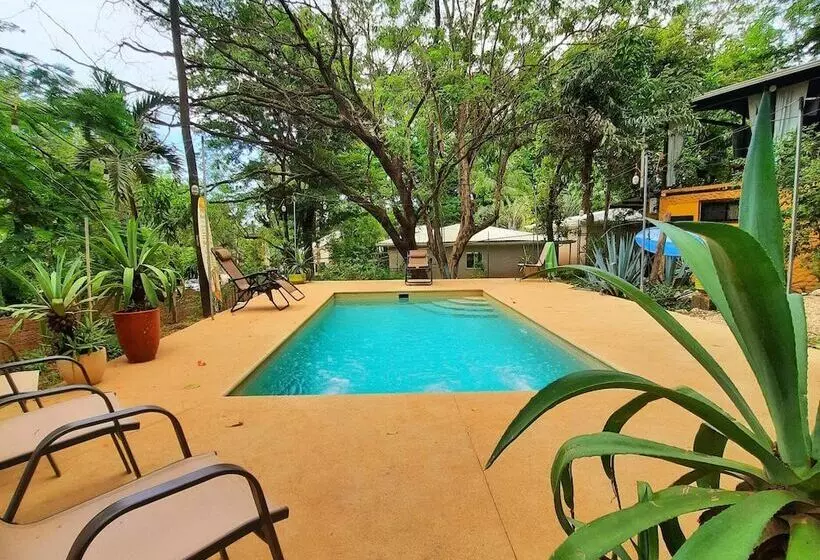 Casa Pura Vida Surf Hostel