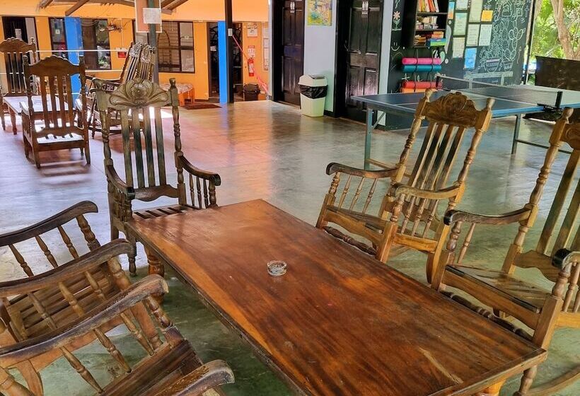 Casa Pura Vida Surf Hostel