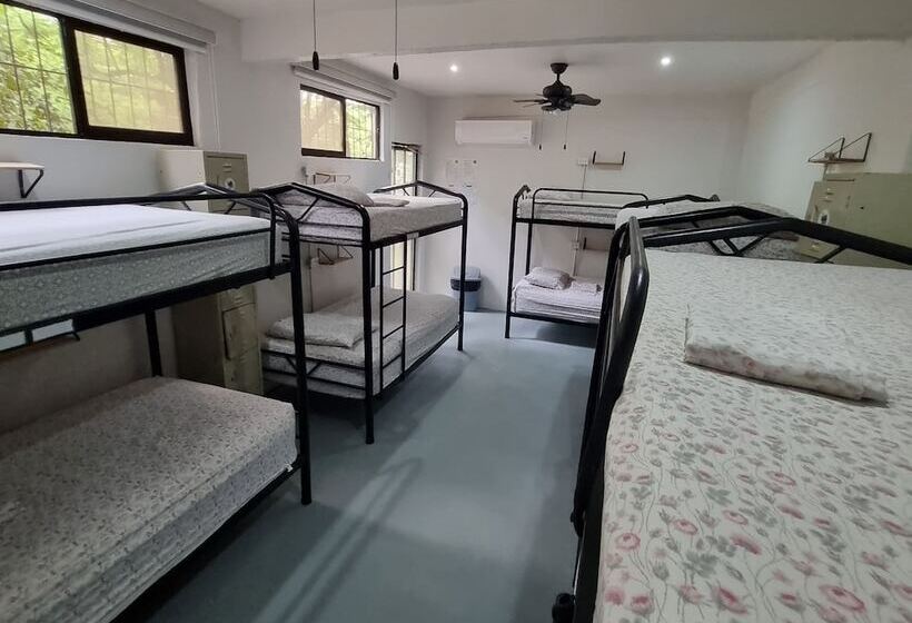 Casa Pura Vida Surf Hostel