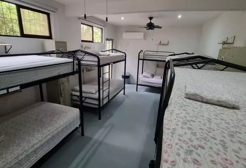 Casa Pura Vida Surf Hostel