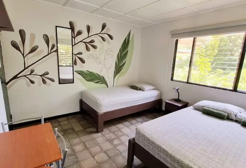 Casa Pura Vida Surf Hostel