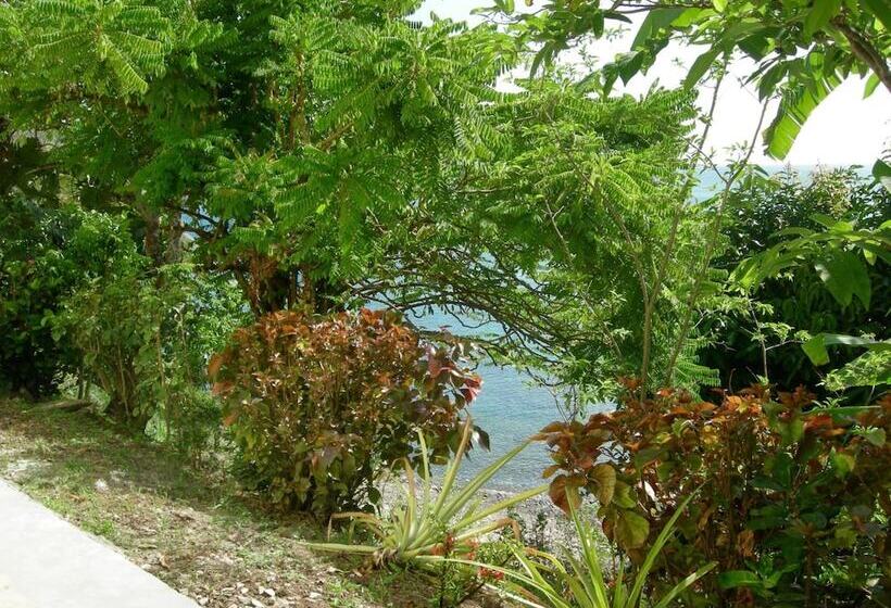 پانسیون Casa Del Vega