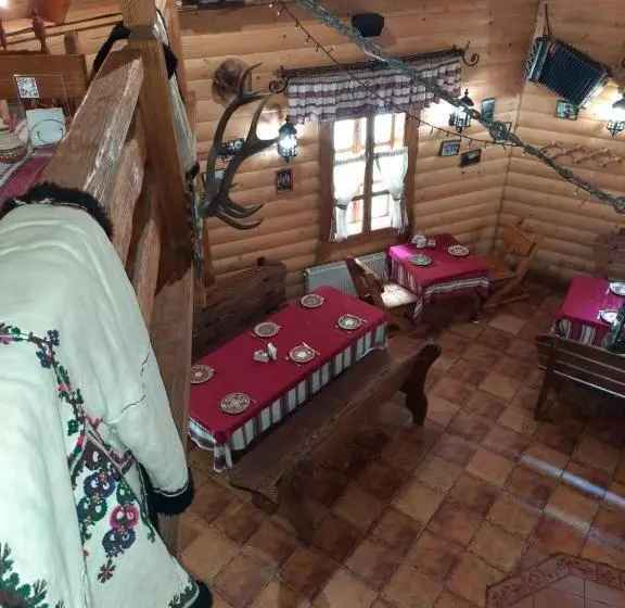 هتل Dykyi Med