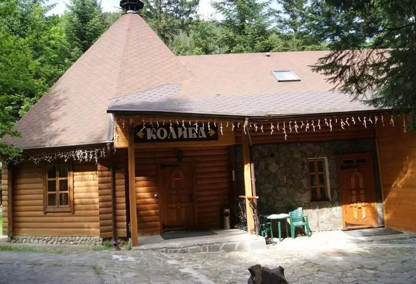 هتل Dykyi Med