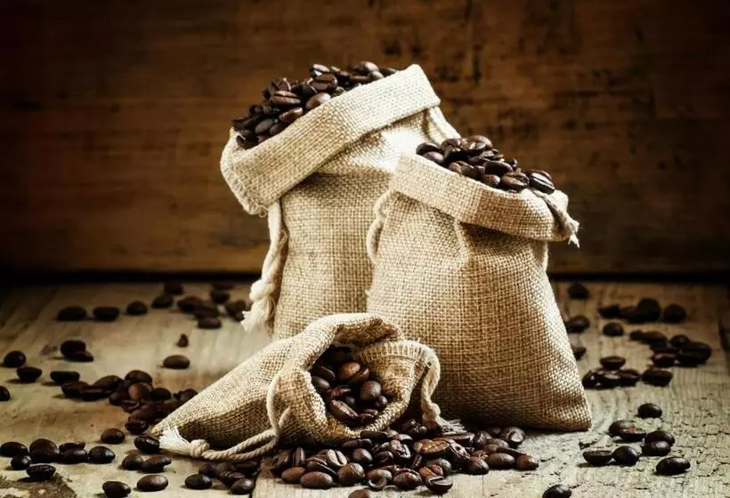 ホテル Gästehaus Stock Zimmer Kaffeesäckle