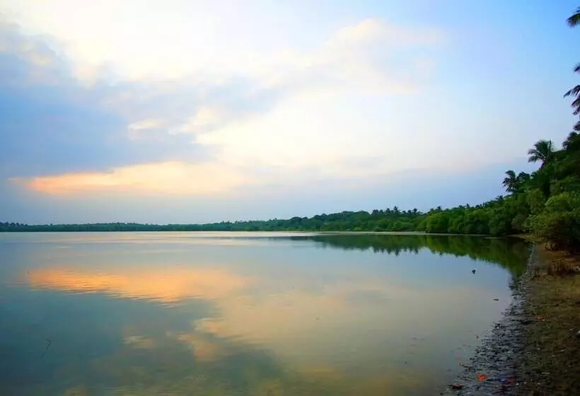 All View Resort