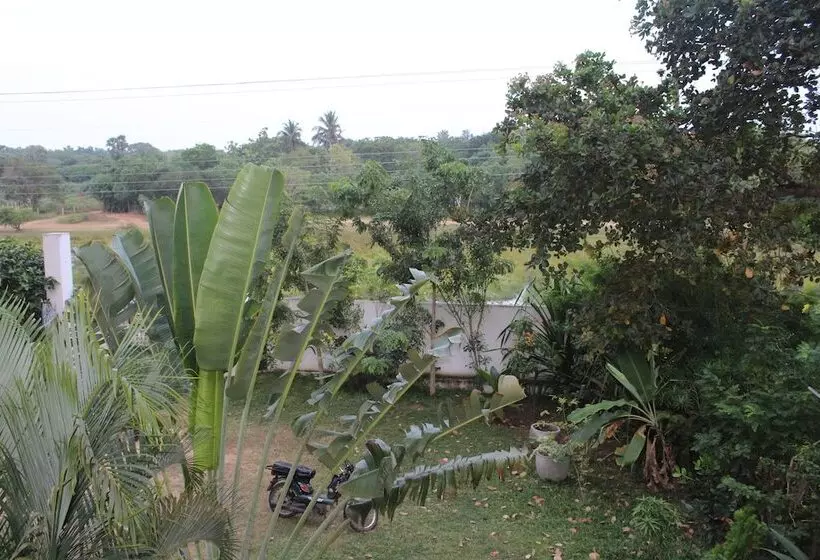 All View Resort
