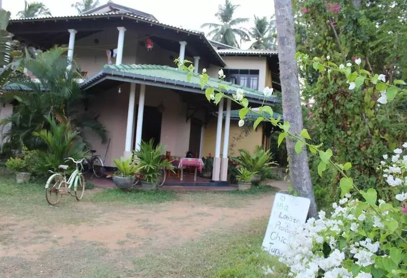 All View Resort
