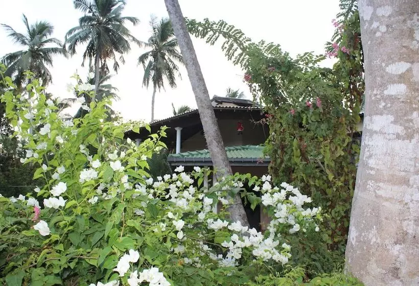 All View Resort