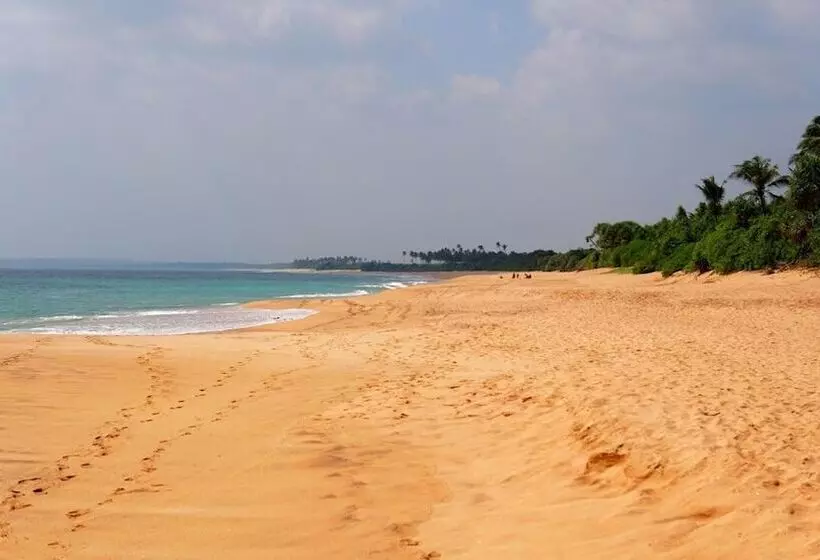 All View Resort