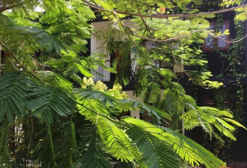 민박 Dambulla Rock Arch