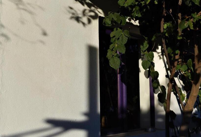 تختخواب و صبحانه La Selenita