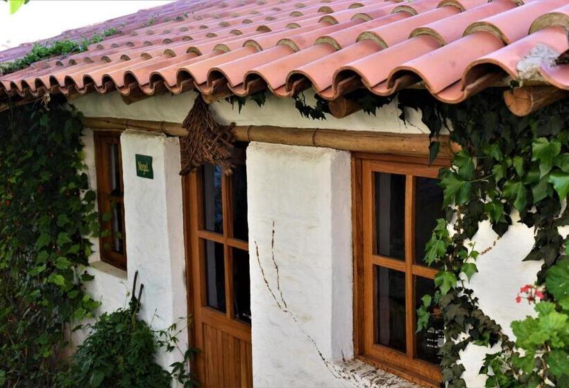 تختخواب و صبحانه La Selenita