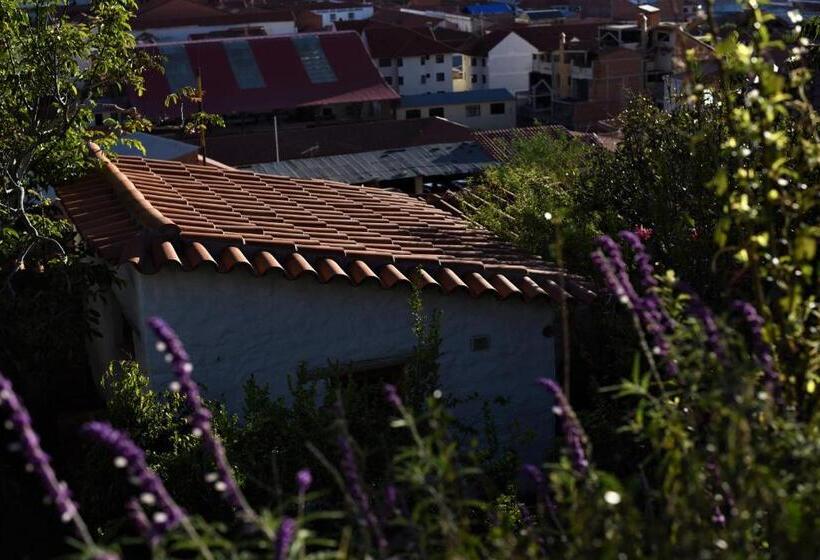 تختخواب و صبحانه La Selenita