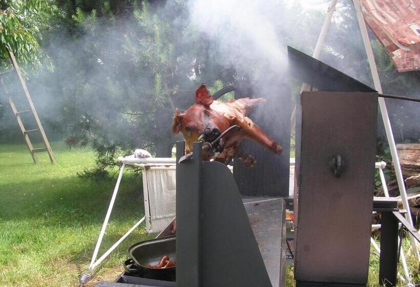 ベッドアンドブレックファースト Penzion Mašek