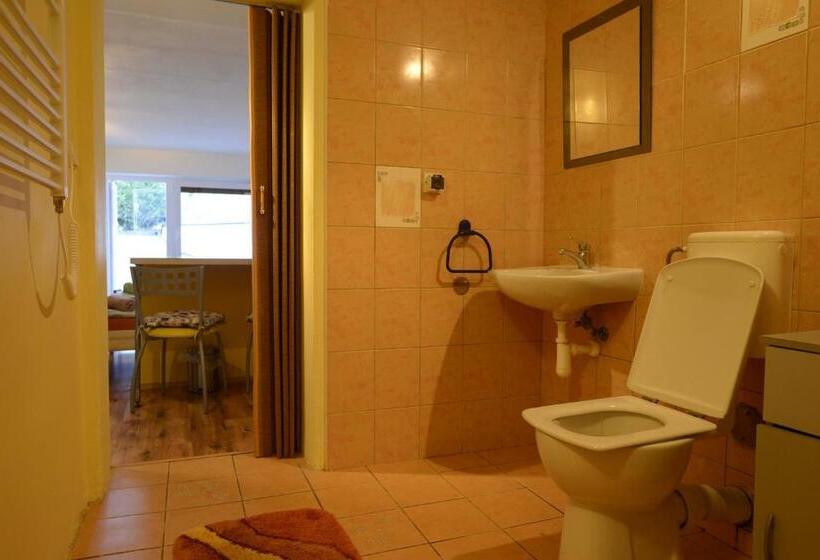 ベッドアンドブレックファースト Penzion Mašek