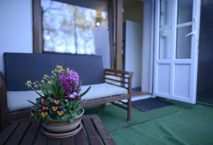 ベッドアンドブレックファースト Penzion Mašek