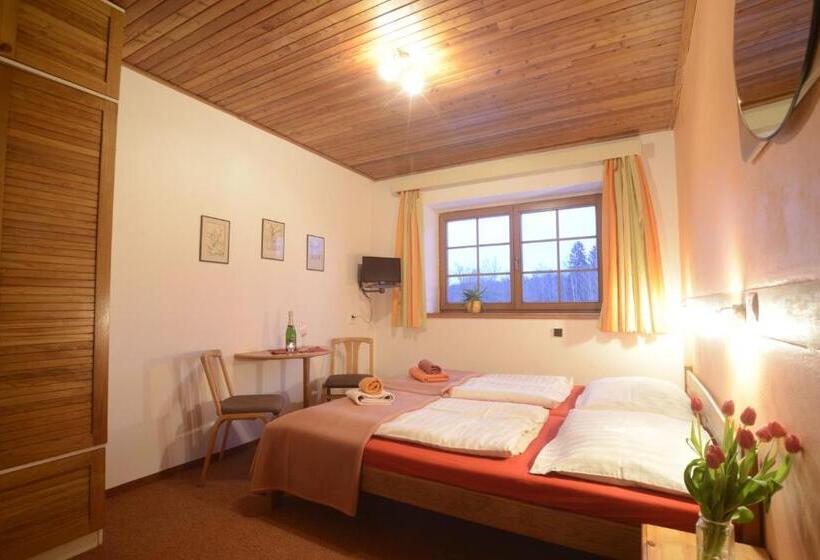 ベッドアンドブレックファースト Penzion Mašek