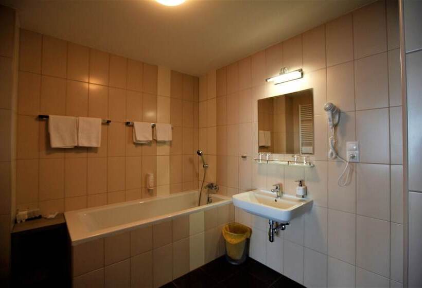 בית מלון כפרי Arena