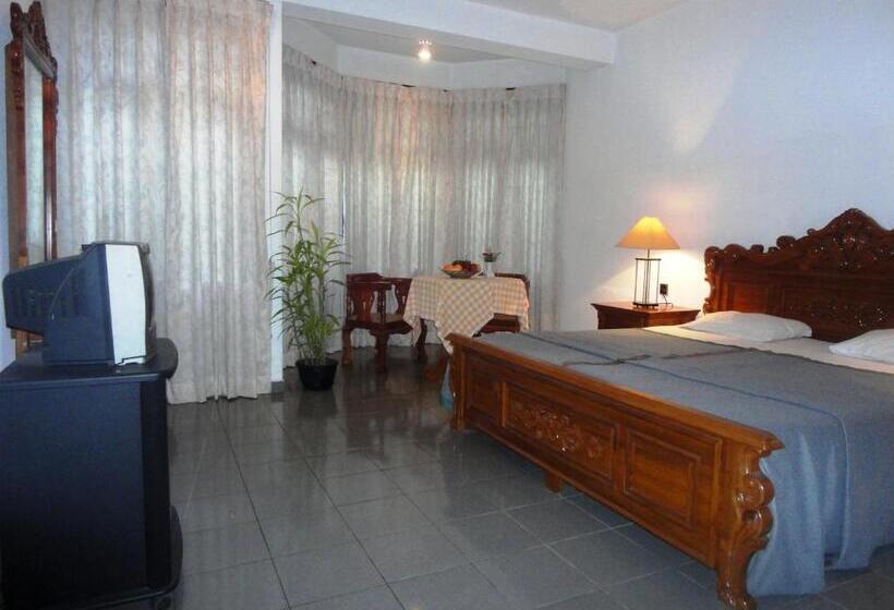 בית מלון כפרי Country Comfort