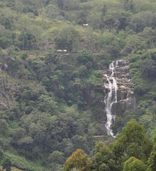 בית מלון כפרי Country Comfort