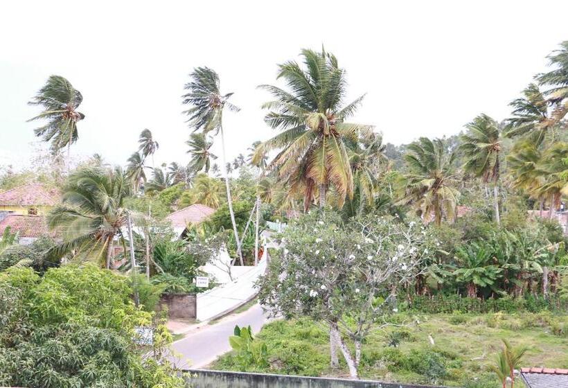 Hotel Dilara Resort Mirissa