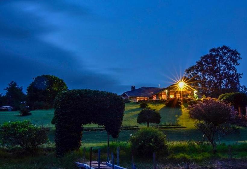 ホテル Kirchhayn Bungalow