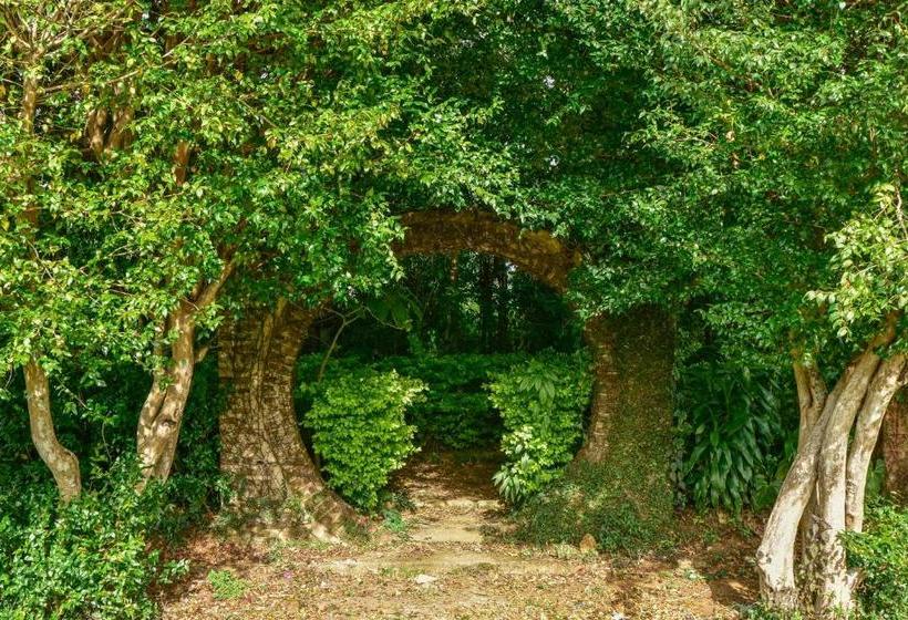 ホテル Kirchhayn Bungalow