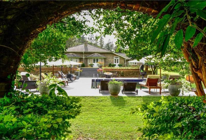 ホテル Kirchhayn Bungalow