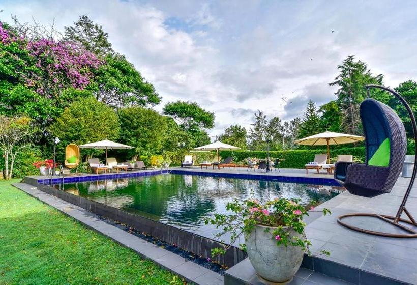 ホテル Kirchhayn Bungalow