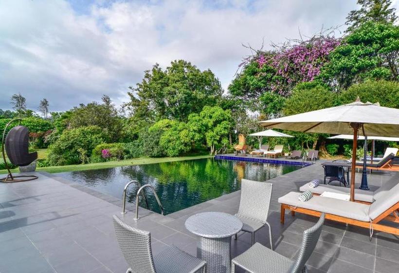 ホテル Kirchhayn Bungalow